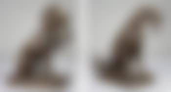 Chiens de chasse assis (preview)