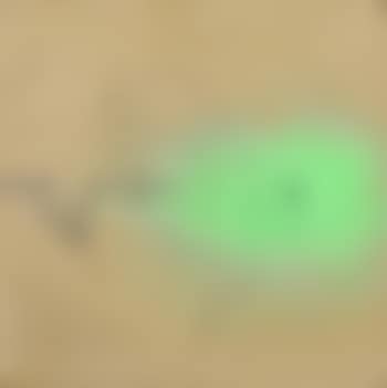 Bird and hand, with green (preview)
