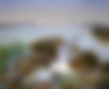 Estuary with Tern (preview)
