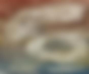 Figurations embryonnaires (preview)