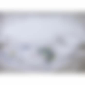Still life (preview)