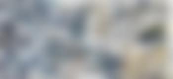 Bird in Flight (preview)