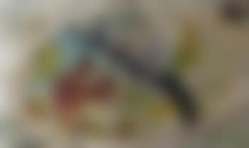 Two squirrels, the border decorated with birds and foliage (preview)