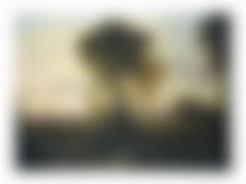 True Peace Will Prevail Under the Rule (preview)