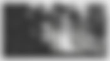 Study for Opening in the Forest (preview)