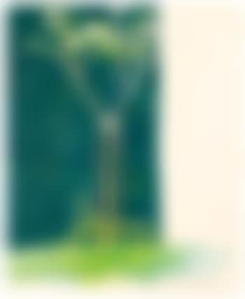 Chateau De Cavennac (preview)