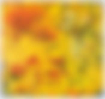 Potirons Avec Bouquet De Fleurs No.2 (preview)