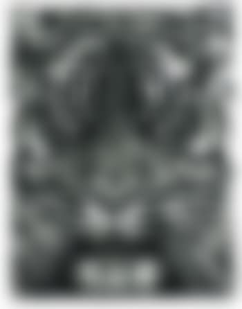 Study For Tiger Head 3B (preview)