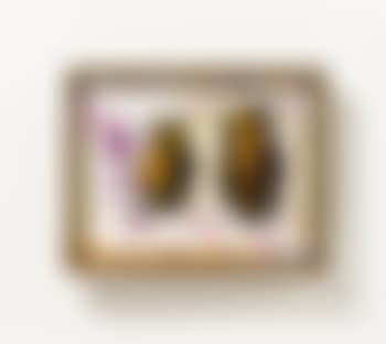o.T. (preview)