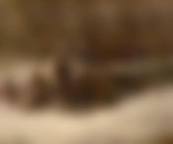 Aufbruch zur Jagd (preview)