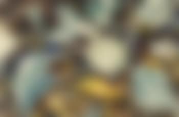 Kohlrabi (preview)