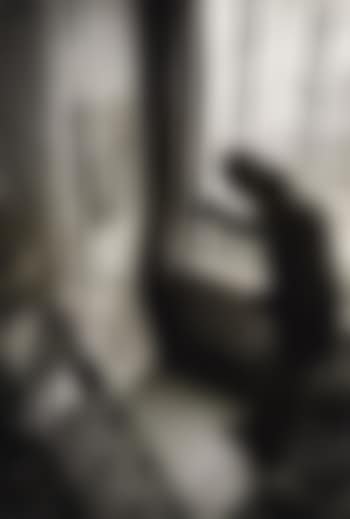 Bonnard (preview)