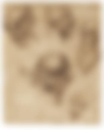 Studies Of Six Male Heads, After Raphael (preview)