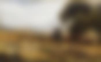 Haymaking (preview)