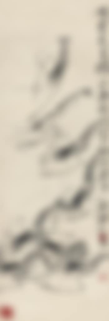 Shrimps (preview)