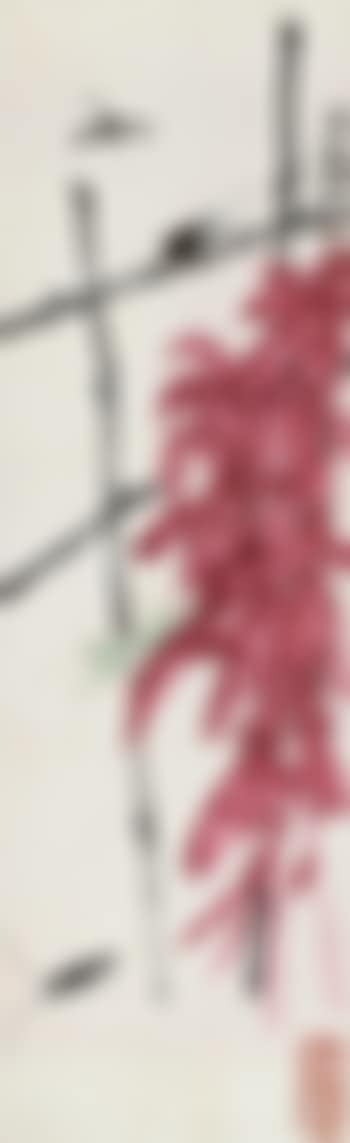 Plants And Insects (preview)