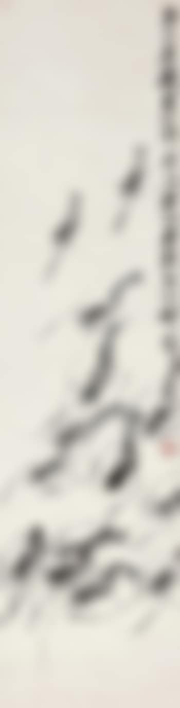 Shrimps (preview)