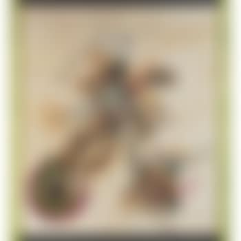 Control mama (preview)
