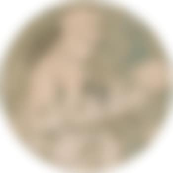 Schreibender Knabe (preview)