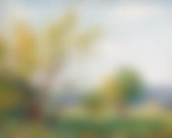 Arbres dans un paysage (preview)
