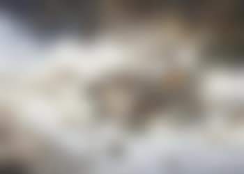 Woodcock in a Winter Landscape (preview)