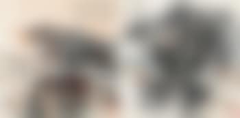 Landscape (preview)