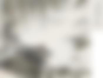 Landscape (preview)