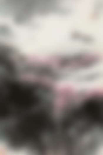 Southern Landscape In Spring (preview)