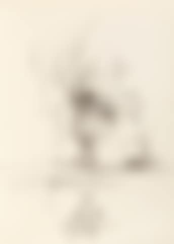 Selbstportrait mit Segelschiff (preview)