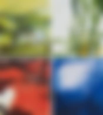 Spring/Summer/Autumn/Winter (4 pieces) (preview)