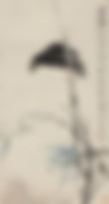 Mynah In Willow (preview)
