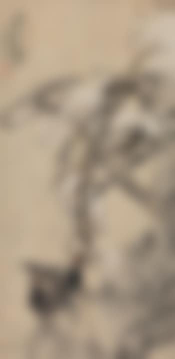 Wisteria Plant (preview)