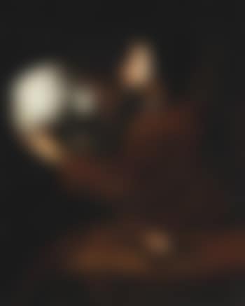 An Allegory of the sense of touch (preview)