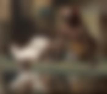 Dans le harem (preview)