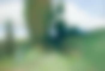 Paysage aux peupliers (preview)