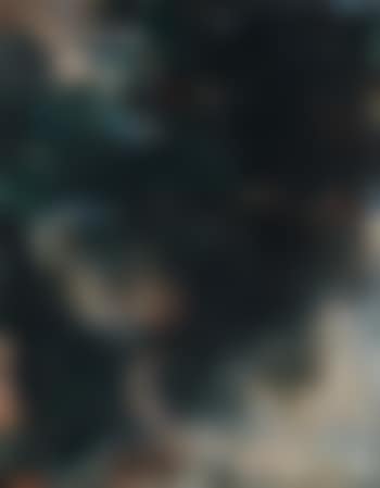 Noirs rompus (preview)