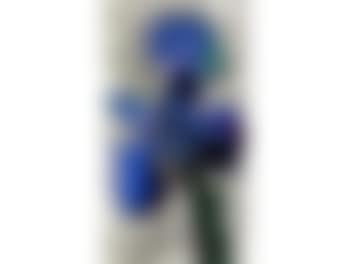 Dutch iris (preview)