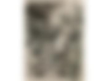 Liberty at the barricades (preview)