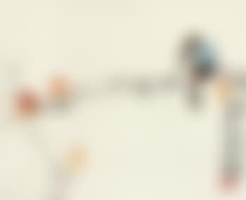 Bird and Flowers (preview)