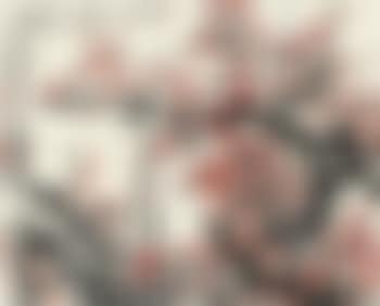 Red Plum (preview)