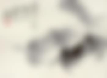 Crabs (preview)