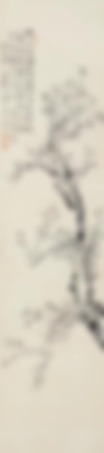 Plum (preview)