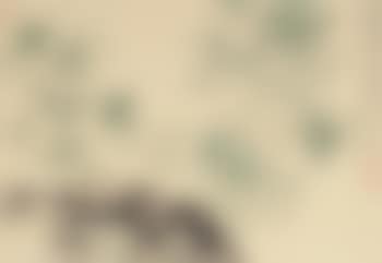 Bamboo (preview)