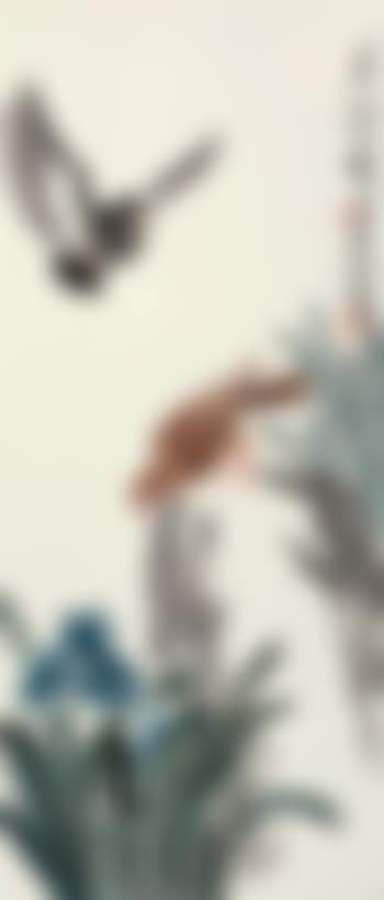 Pigeon (preview)