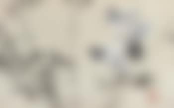 Pigeon (preview)