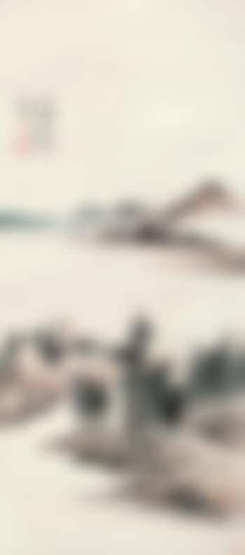 Landscape (preview)