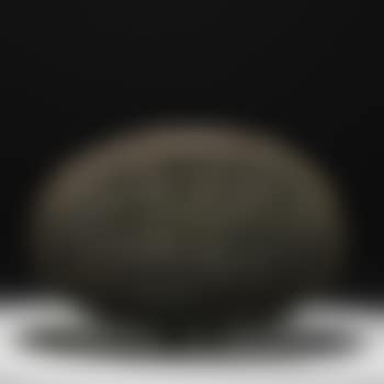 Untitled (Bush) (preview)