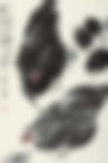 Chicken (preview)