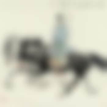 Character And Horse (preview)