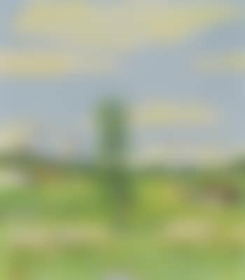 Piz Lagrev (preview)